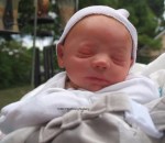 Link to Portfolio Page